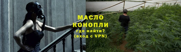 spice Богородск