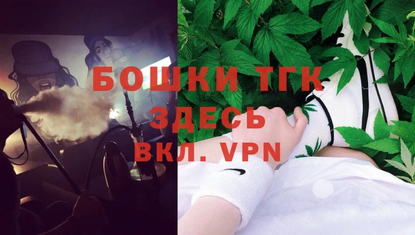 spice Богородск