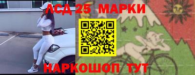 шишки Бузулук