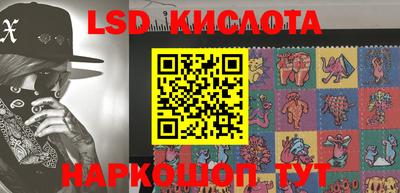 шишки Бузулук