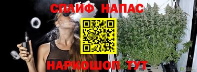 крисы Беслан