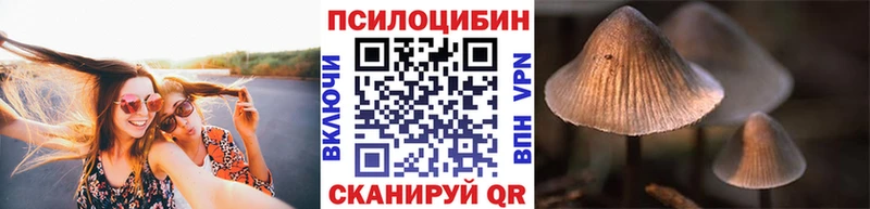 Псилоцибиновые грибы Psilocybine cubensis  купить наркотики цена  omg сайт  Горячий Ключ 