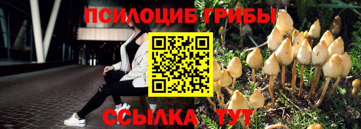 Галлюциногенные грибы Cubensis Горячий Ключ