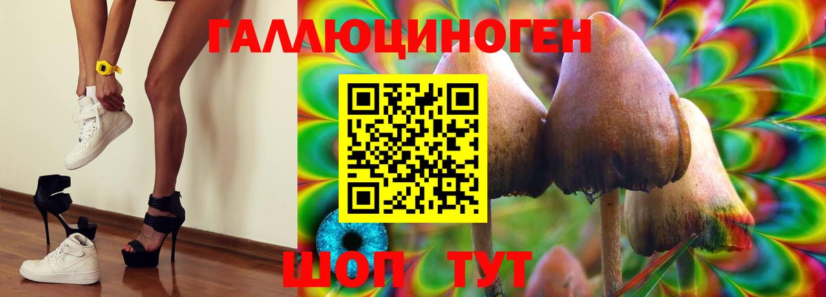 Горячий Ключ  Псилоцибиновые грибы прущие грибы  Галлюциногенные грибы ЛСД  Вход с VPN 